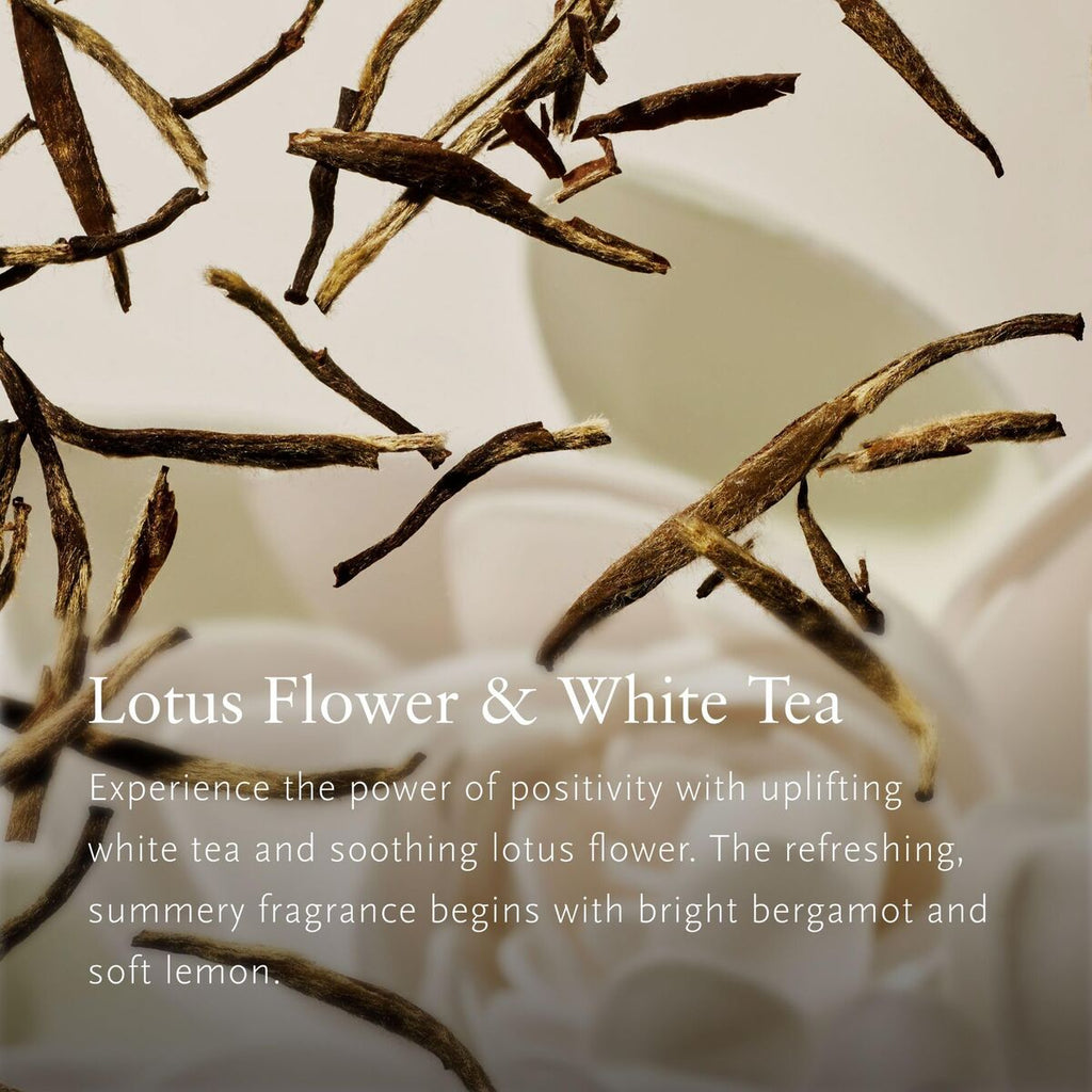 V2HDDFC5F8599383763E8D0455E42B3015AR7801325P4