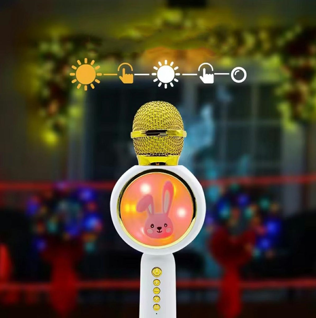 Belaidis karaoke mikrofonas