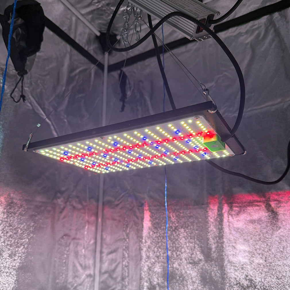 LED augalų panelė PROFI