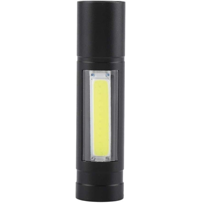 LED prožektorius, 2 LED