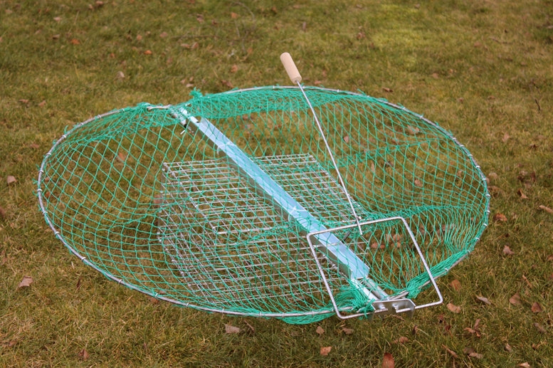Paukščių gaudyklė su jauko kamera