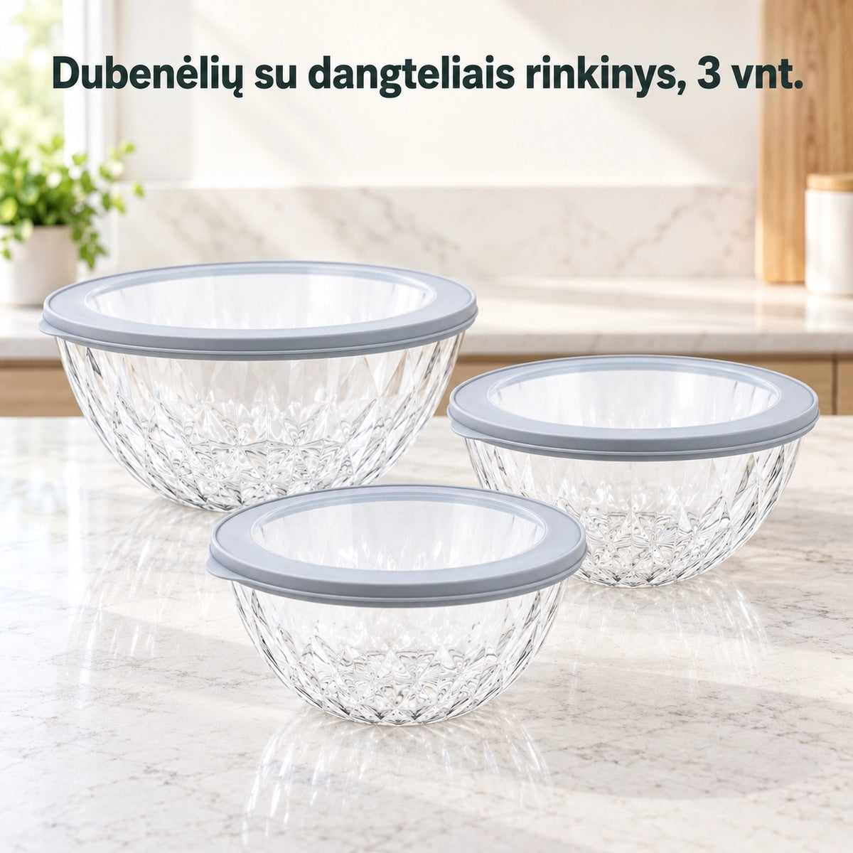 Plastikinių maisto laikymo indelių rinkinys su dangteliais 3 vnt.
