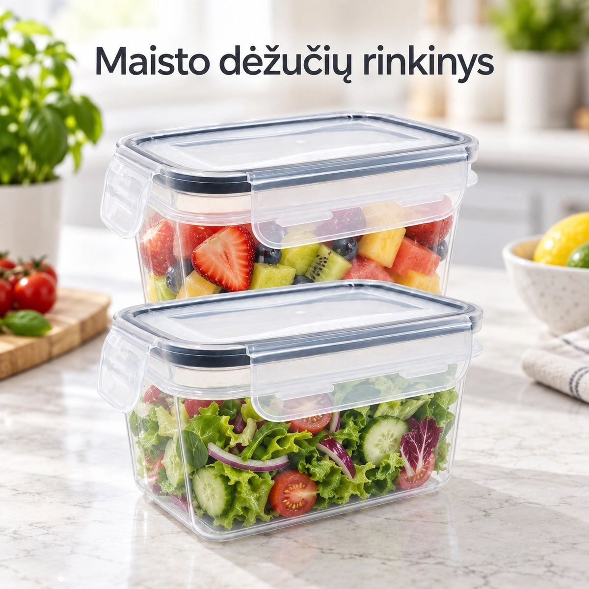 Plastikinių maisto laikymo indų rinkinys su dangčiais (2 vnt.) TR2358E