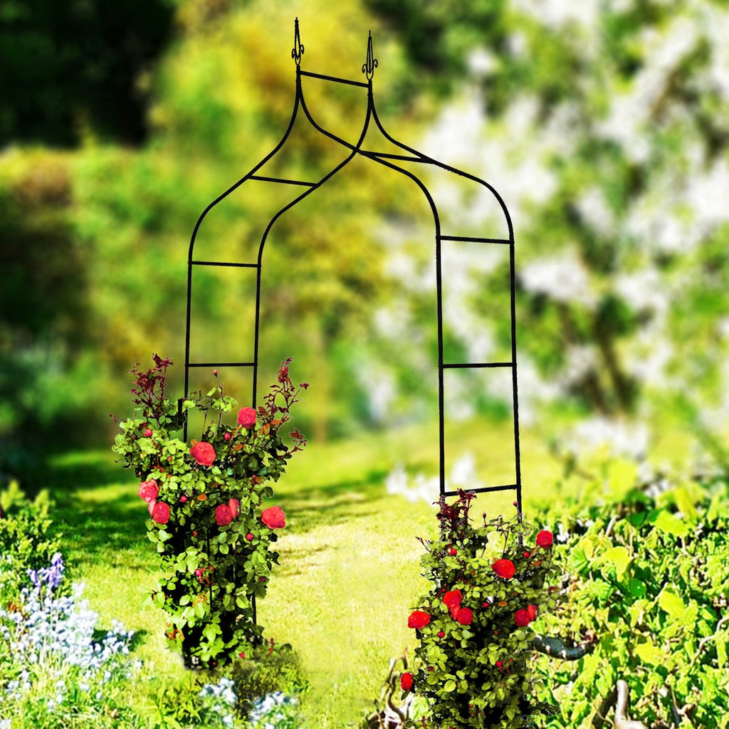 Sodo pergola augalams 150 × 37 × 240 cm, metalinė, juoda