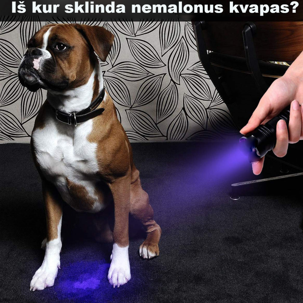 UV  Spindulių Prožektorius